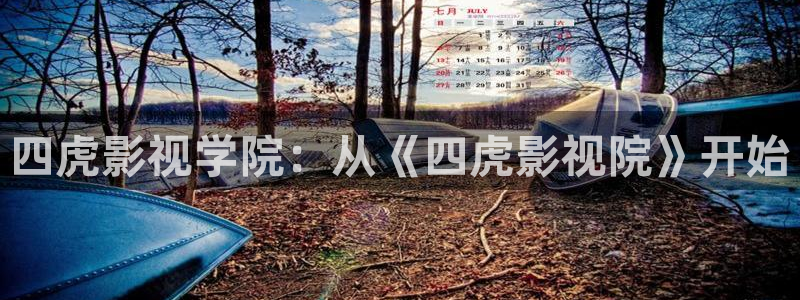 大地影院在线官网观看高清免费：四虎影视学院：从《四虎影视院》开始