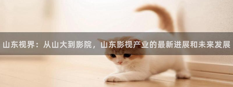 大地影院资源官网：山东视界：从山大到影院，山东影视产业的最新进展和未来发展