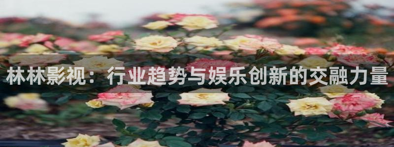 大地视频在线观看完整版：林林影视：行业趋势与娱乐创新的交融力量