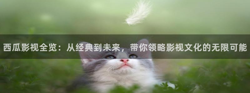 大地资源版高清6：西瓜影视全览：从经典到未来，带你领略影视文化的无限可能