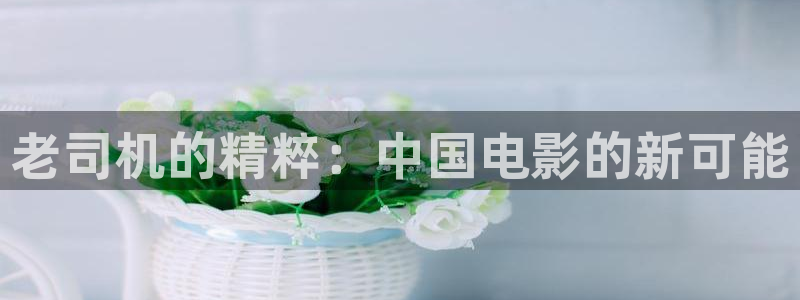 吉林大地影院：老司机的精粹：中国电影的新可能