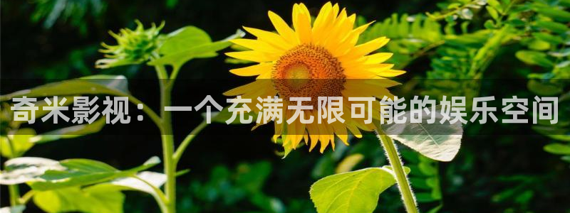 大地第二资源在线观看免：奇米影视：一个充满无限可能的娱乐空间