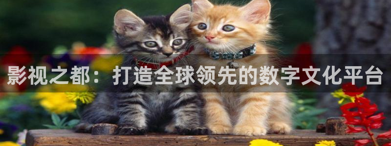 大地影院观看：影视之都：打造全球领先的数字文化平台